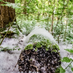 IMG_5472-als-Smartobjekt-1