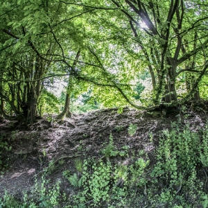 IMG_9185-als-Smartobjekt-1