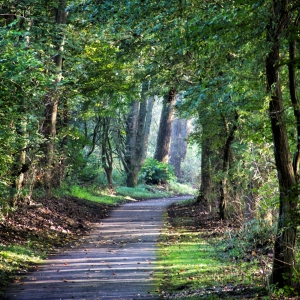 IMG_7216-als-Smartobjekt-1