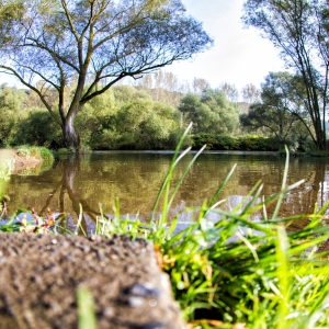 IMG_7220-als-Smartobjekt-1