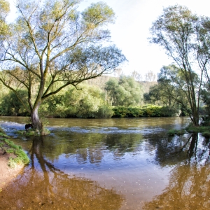 IMG_7221-als-Smartobjekt-1