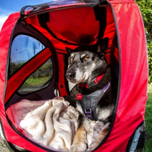 IMG_7264-als-Smartobjekt-1