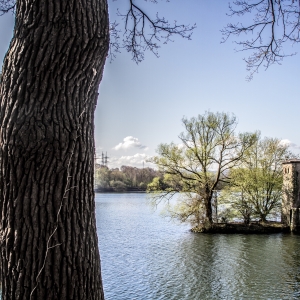 IMG_8870-als-Smartobjekt-1