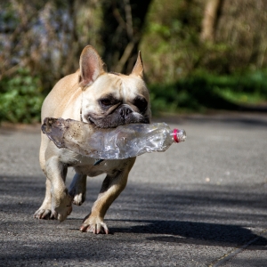 IMG_8920-als-Smartobjekt-1