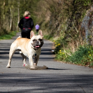 IMG_8931-als-Smartobjekt-1