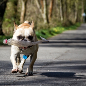 IMG_8943-als-Smartobjekt-1