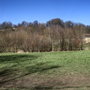 HuWi-Steele-Panorama2