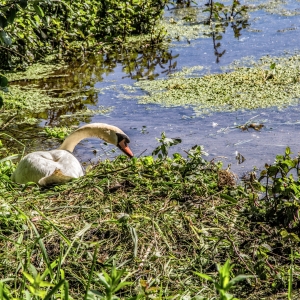 IMG_5361-als-Smartobjekt-1