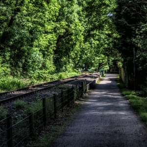 IMG_5364-als-Smartobjekt-1