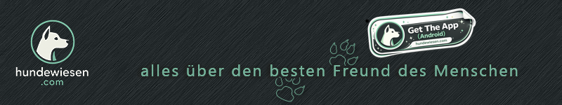 hundewiesen.com