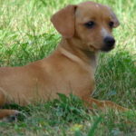 f555d3148ae97822a6e3[1]