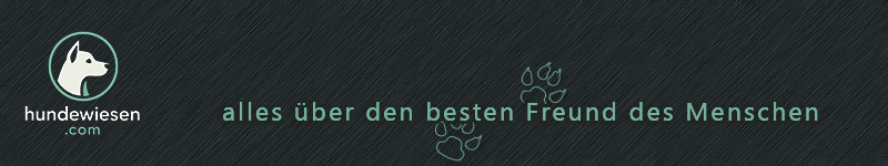 hundewiesen.com