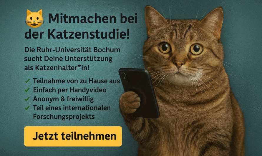 🐱🔬 Mit Katzen forschen – Mach mit bei der Cat-Content-Studie der Ruhr-Uni Bochum!