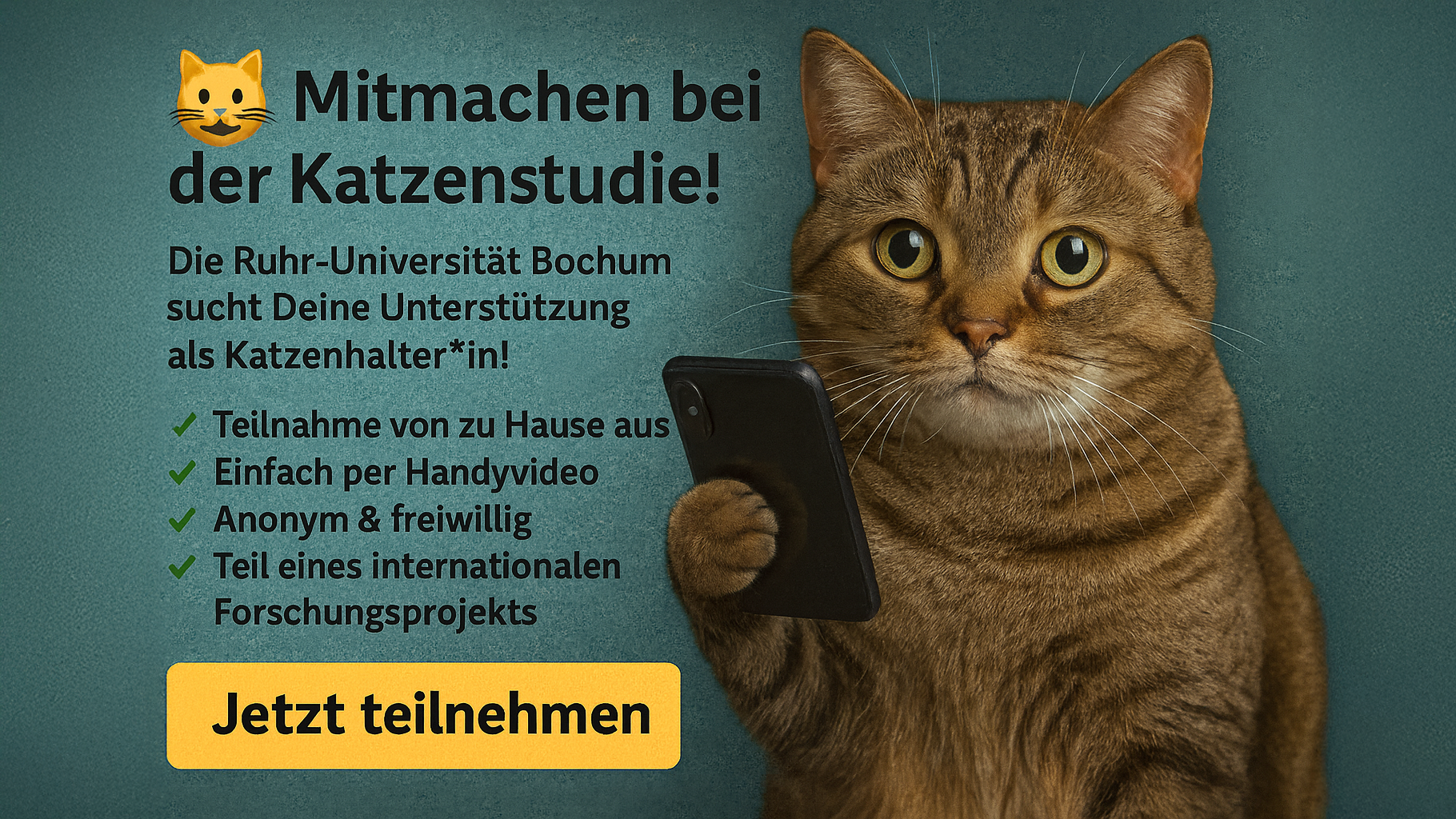 🐱🔬 Mit Katzen forschen – Mach mit bei der Cat-Content-Studie der Ruhr-Uni Bochum!