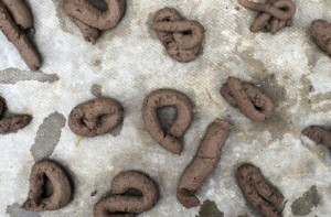 media.media.3eeb8499-8d58-4dd1-ab88-1fb70c48051c.normalized