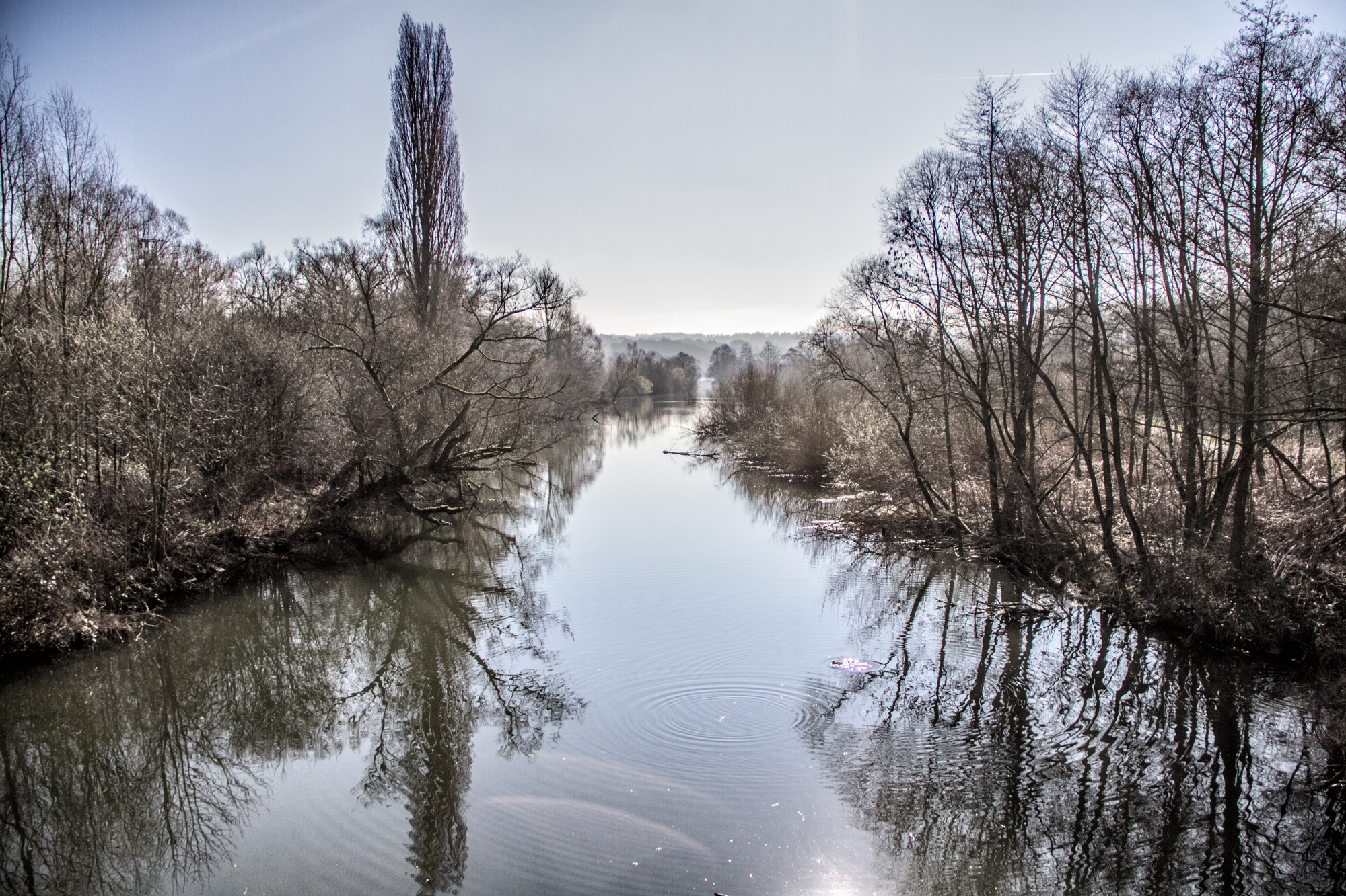 Von Hundewiese Essen Steele nach Baldeneysee Essen Kupferdreh