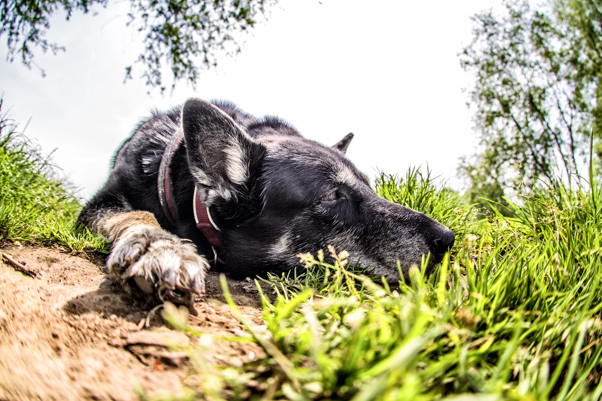 Von Essen Steele nach Baldeneysee Kupferdreh