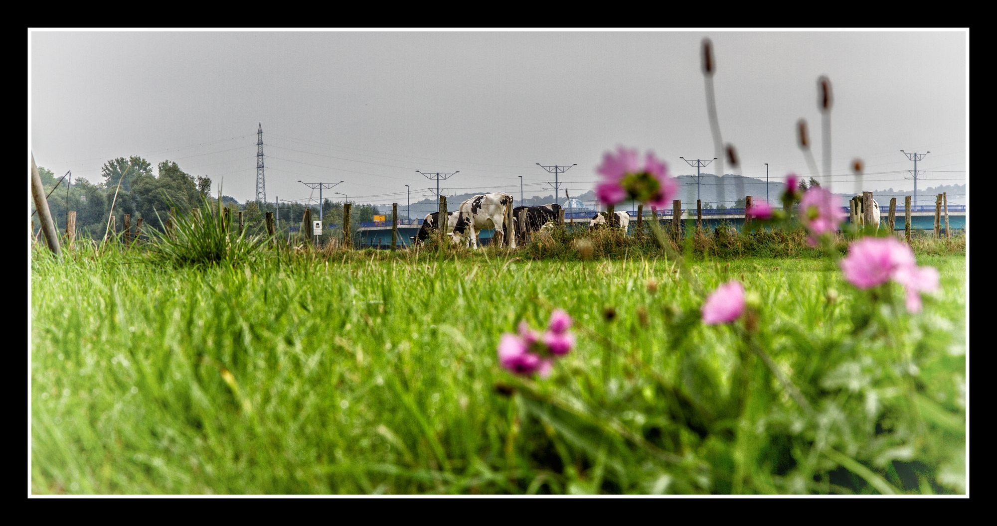 Von Hattingen nach Hundewiese Essen Steele